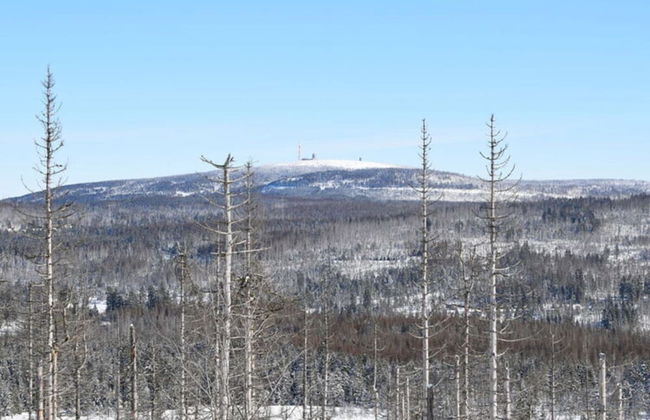 Classy Apartment in Bad Sachsa - Foto 22