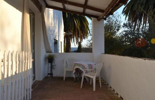 Las Navezuelas - Photo 62