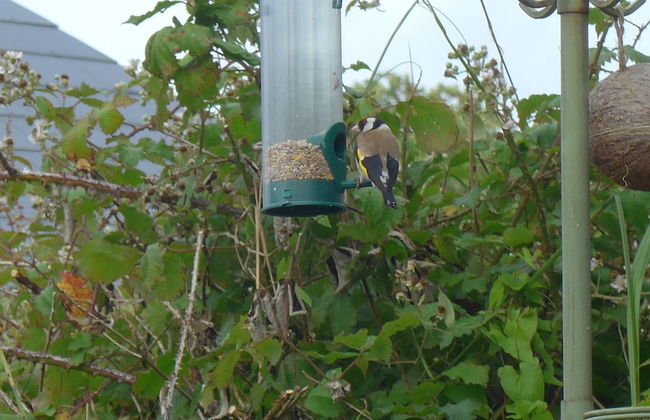 Parkland 14 is a Detached Premier 3 Bedroom Bungalow Sleeping 6 - Foto 34