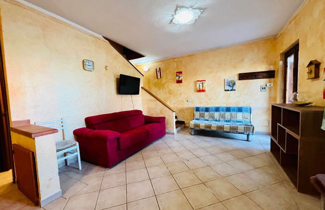 Badualga Pink - Foto 12