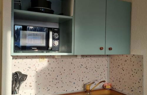 Le Montagnard - Foto 11