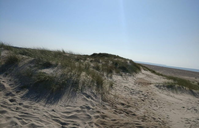 6 Person Holiday Home in Brovst-by Traum - Photo 28