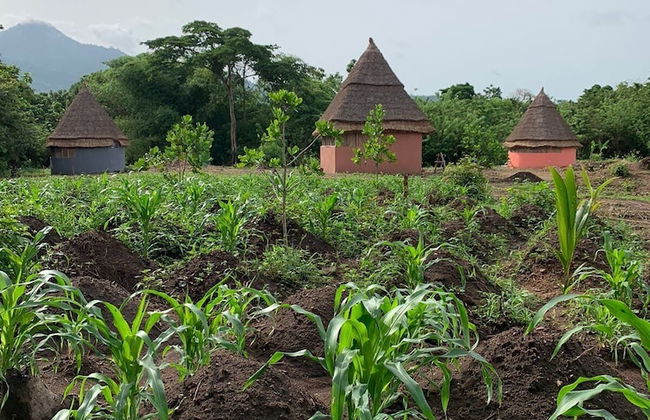 Refuge du Mont Agou - Photo 17