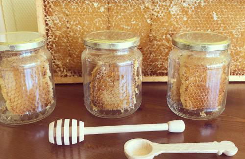 Agriturismo La Biandrina - Foto 61