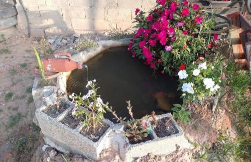 Chácara Chiafarelli - Photo 40