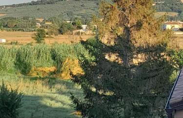 2 La fisarmonica del Conero - Foto 6