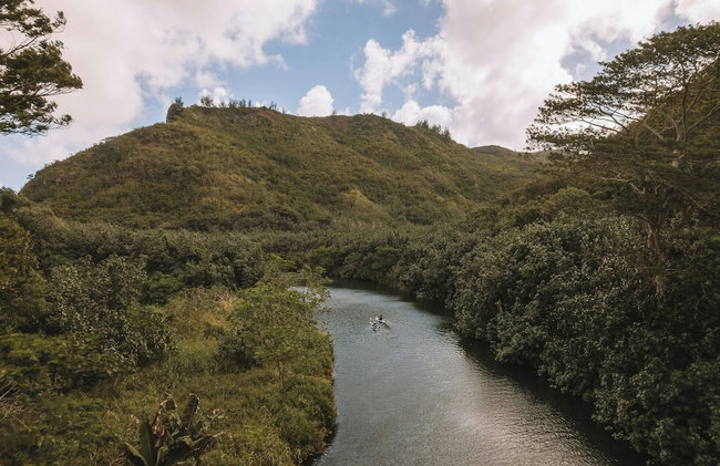 Kauai Plantation Hale Hotel - Foto 112