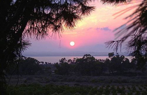 Bungalow Casa Sol - Foto 23