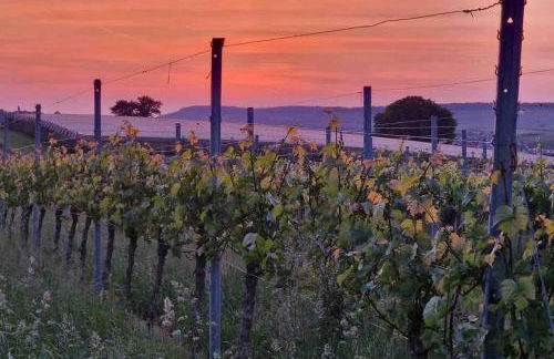3 Zimmer Neubauwohnung in der schwäbischen Toskana - Foto 30