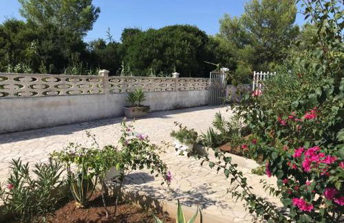 Speroni d'oro - Foto 19