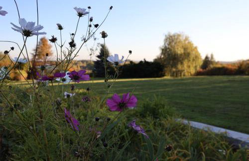 Rezydencja Pod Platanem - Photo 10