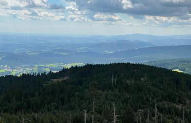 Große Ferienwohnung Hundertwasser am Dreisessel in Altreichenau - Foto 44