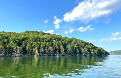 Rockwood Condos on Table Rock Lake With Boat Slips - Foto 60