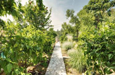 Apartmani Ela - Photo 4