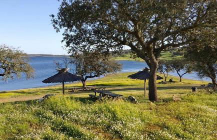 Casa Caridade - Foto 19