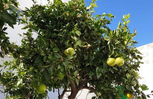 Apartament in arico - Foto 5