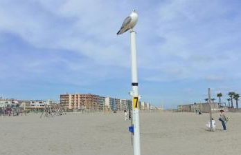 Janislove34 Maison 1 Chambre avec accès piscine dans résidence à Palavas les flots - Foto 38