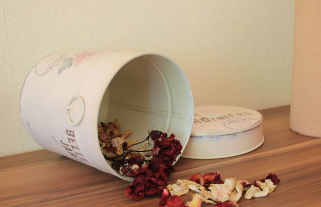 Sunny Holiday Apartment at the Forest Büdnerreihe - Foto 14