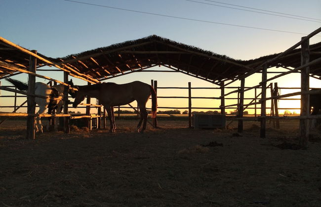 Agriturismo Giuncola e Granaiolo - Foto 15