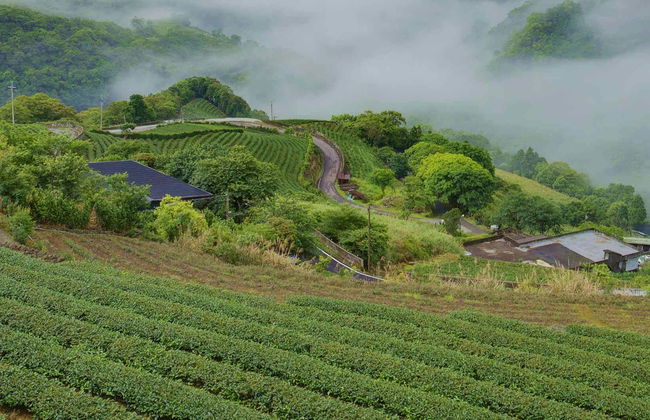 Excursión a Pinglin y la Montaña del Elefante - Foto 1