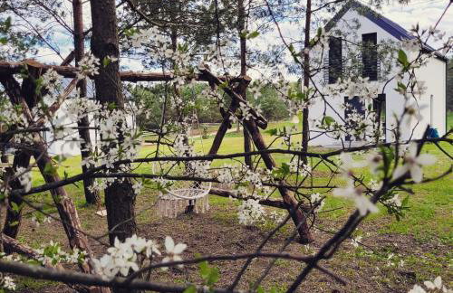 Przytullas - Domki na Mazurach - Foto 35