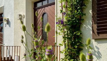 Ferienhaus am Weinaupark - Foto 4