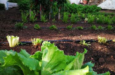 Agriturismo Guthiddai - Foto 6