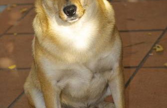 B&B Mery Lho - Foto 19