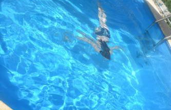 Ferienhaus Harzvorland - Foto 16