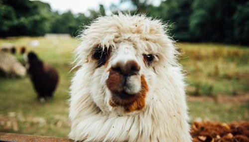 Archway 2 Cosy, En-suite Retreat - Foto 4