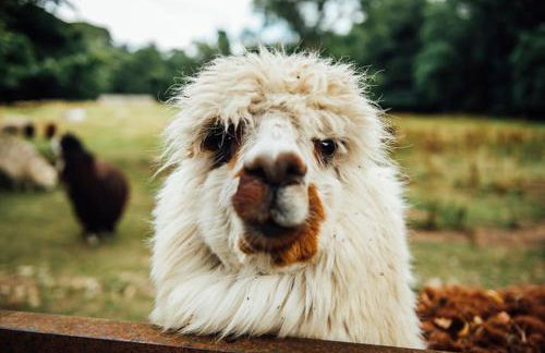 Archway 2 Cosy, En-suite Retreat - Foto 4