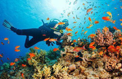 El Mirador "Lujo para 6 personas" - Foto 39