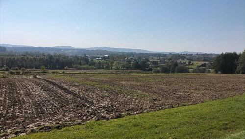 Zielony Zakątek - Foto 2