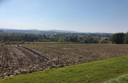 Zielony Zakątek - Photo 2