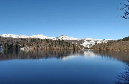 La forêt des Marmottes - Photo 28