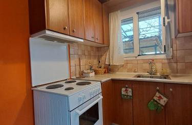 Rivers' house Tzoumerka - Foto 2