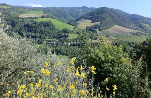 Corte San Ruffillo-Azienda Agrituristica - Foto 156