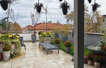 Garden Sky - Photo 3