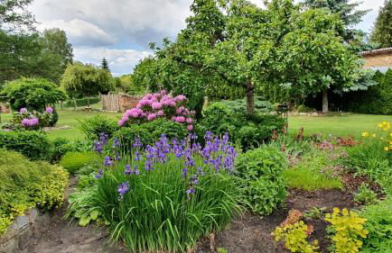 Ferienhof Sommergarten - Foto 24