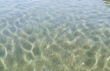 Almira Kalamos - Foto 38