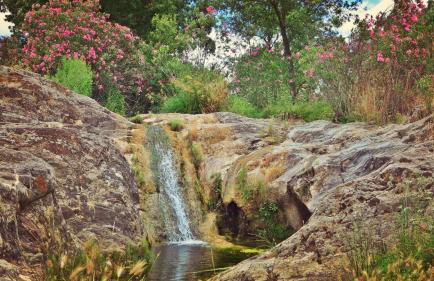 Casa Rural con skatepark y piscina " La Quijada del Lobo " - Foto 75