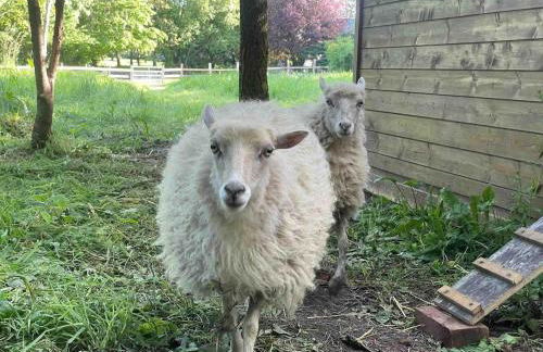 Chez colette - Foto 36