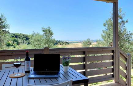 Podere Cortesi Agriturismo Molinaccio - Foto 18