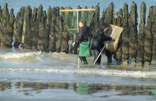 Appartement face mer - Photo 23