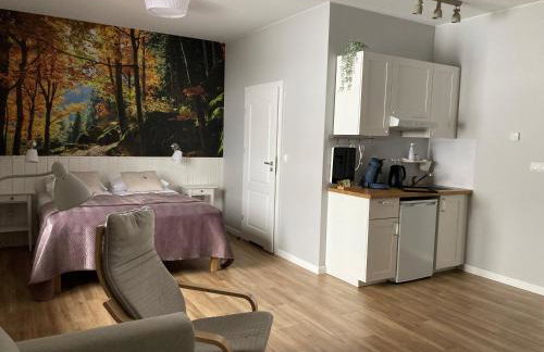 Apartamenty Black Lion - Foto 33