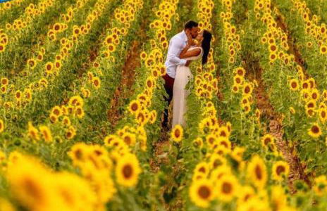 Les Bastidons de l'Isle - Le Seguret - 3 étoiles - Photo 16