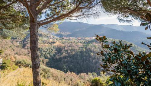 033 - Casa Oasi di Pace Moneglia nel verde e nella Natura a soli 7 minuti dal Mare - Foto 5
