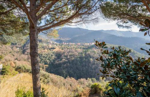 033 - Casa Oasi di Pace Moneglia nel verde e nella Natura a soli 7 minuti dal Mare - Foto 5