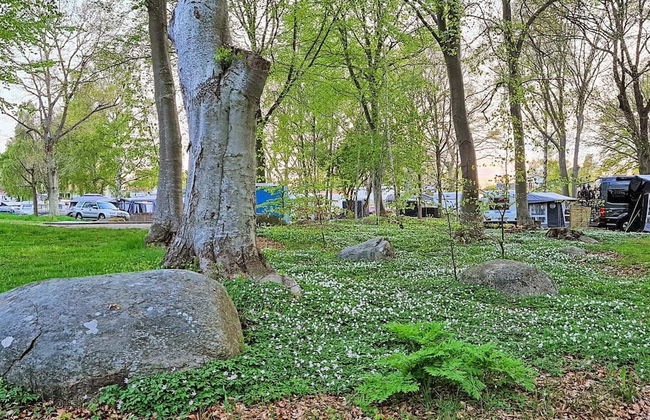 5 Person Holiday Home in Solvesborg-by Traum - Foto 19