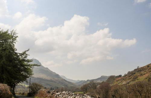 Gilfachwydd - Foto 42